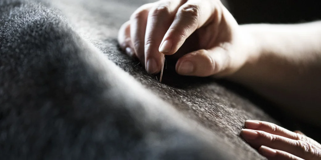 Akupunkturbehandlung – feine Nadel im Fell eines Tieres