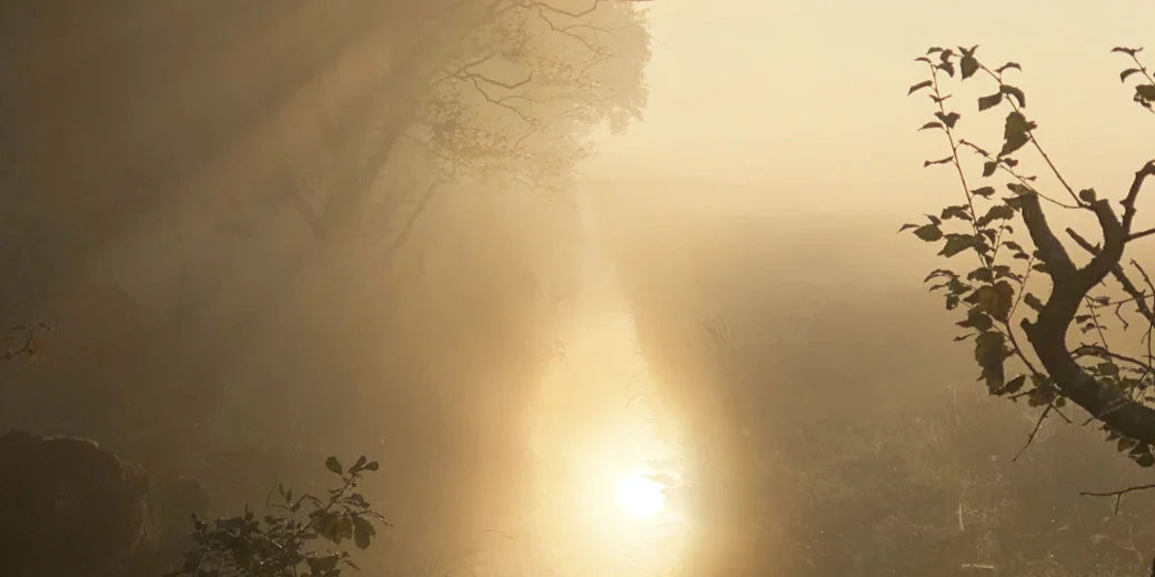Sonnenaufgang über nebliger Landschaft – energetische Heilverfahren